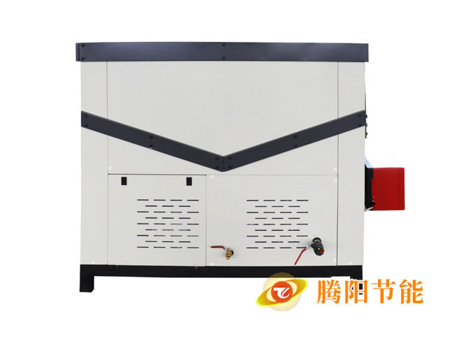 燃?xì)獍l(fā)生器